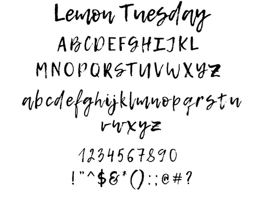 Custom Signature Guitar Decal in Lemon Tuesday Font