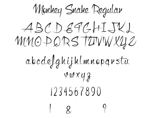 Custom Signature Guitar Decal in Monkey Snake Font